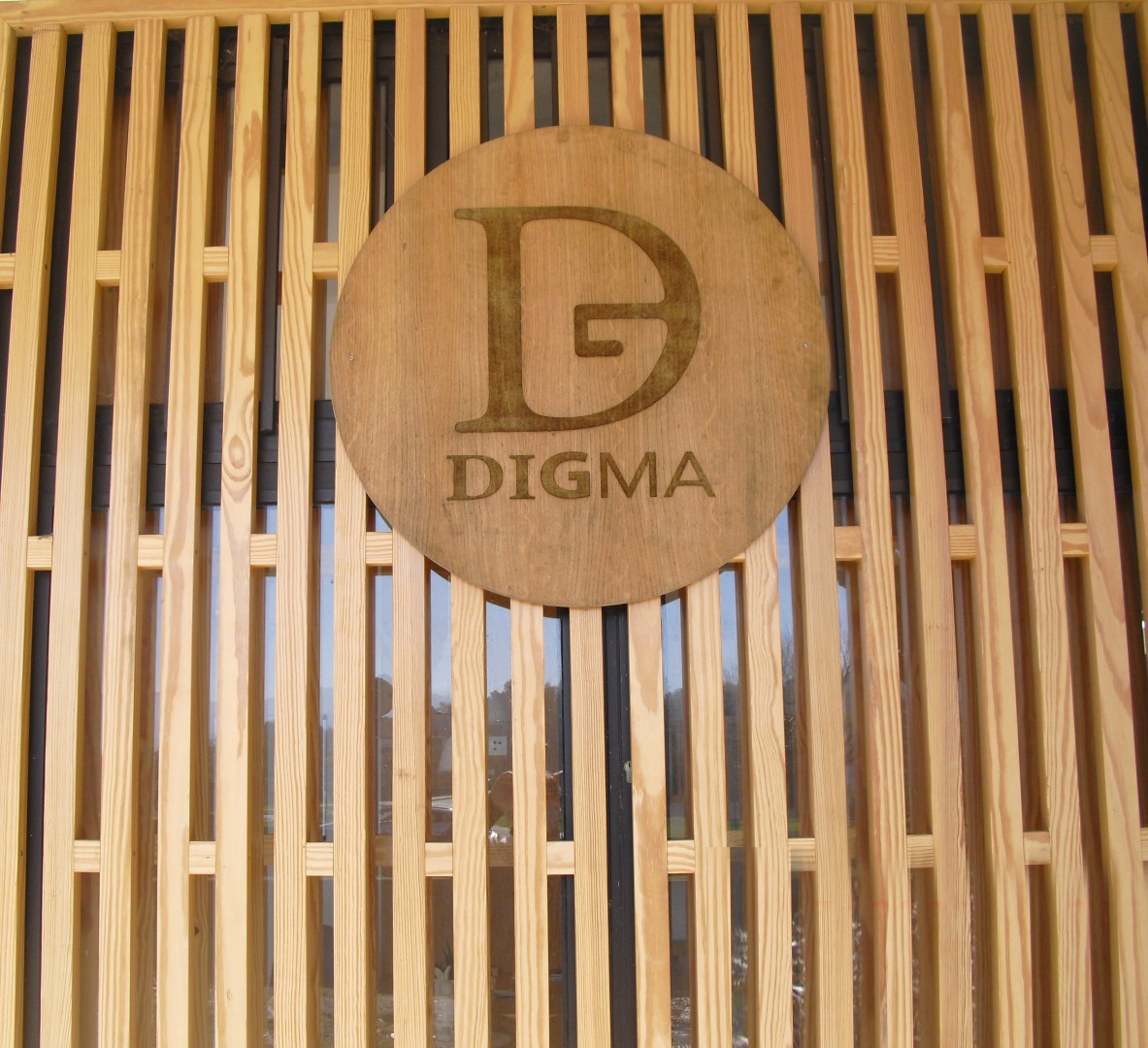 DIGMA (Marketing Digital)